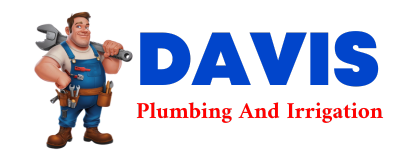 Trusted plumber in DALEVILLE